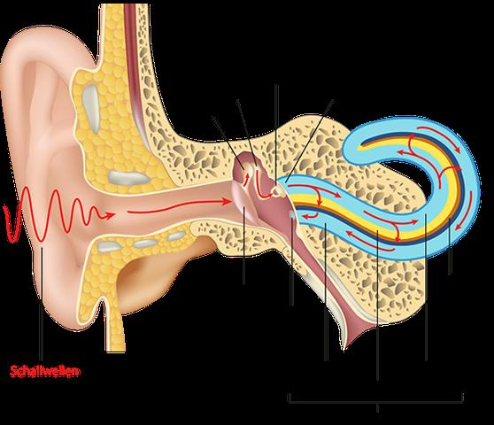 Symptome eines Hörsturzes: Wann sollte man zum Arzt gehen?