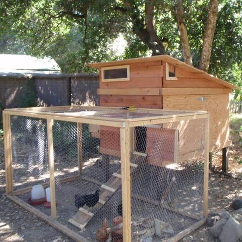 Schritt-für-Schritt-Anleitung zum Selbstbau eines Hühnerstalls als PDF Schritt-für-Schritt-Anleitung zum Selbstbau eines Hühnerstalls als PDF