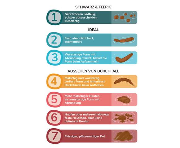 Warum stinkt der Durchfall des Hundes nach Verwesung? 3 mögliche Ursachen und Tipps Warum stinkt der Durchfall des Hundes nach Verwesung? 3 mögliche Ursachen und Tipps