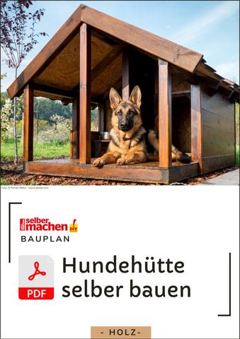 Individuelle Hundehütte selber bauen: Tipps und Tricks Individuelle Hundehütte selber bauen: Tipps und Tricks