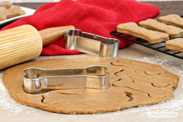 Gesunde und schmackhafte Hundeleckerlies selber backen