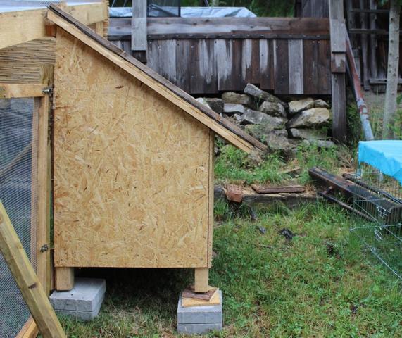 Schritt-für-Schritt-Anleitung: So baust du dein eigenes Kaninchengehege Schritt-für-Schritt-Anleitung: So baust du dein eigenes Kaninchengehege