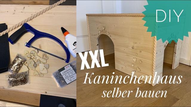 Tipps und Tricks zum Selbstbau eines winterfesten Kaninchenhauses