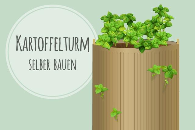 Selbstversorgung mit Kartoffeln: Bauanleitung für einen DIY-Kartoffelturm Selbstversorgung mit Kartoffeln: Bauanleitung für einen DIY-Kartoffelturm