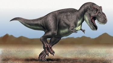 4. Der Untergang der Dinosaurier: Was geschah vor 66 Millionen Jahren?