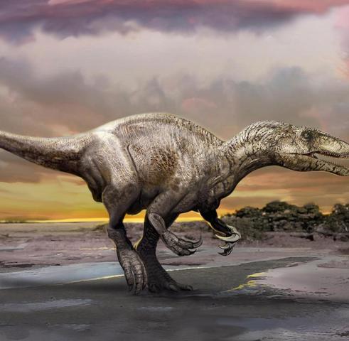 6. Rätsel gelöst: Wann genau starben die Dinosaurier aus?