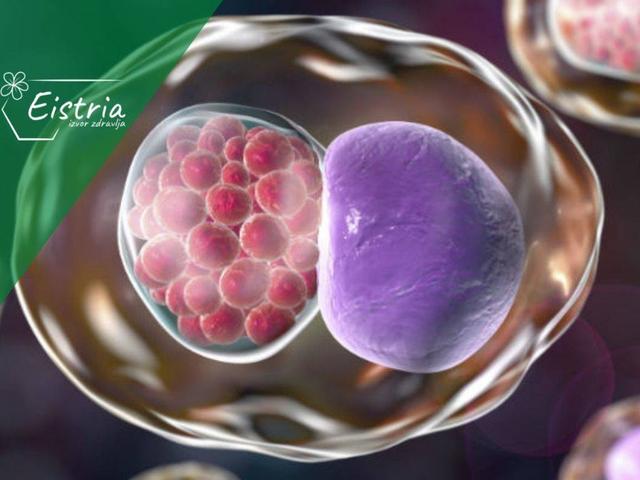 Natürliche Heilung von Chlamydien: