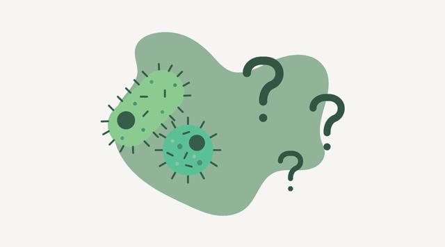 Kann sich eine Chlamydien-Infektion spontan zurückbilden?