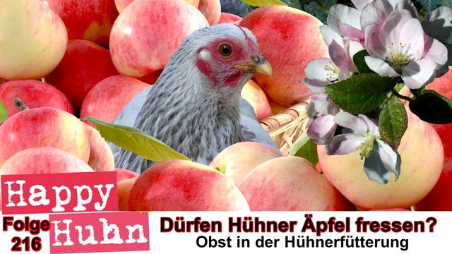 Bananen im Hühnerstall: Tipps zur Fütterung