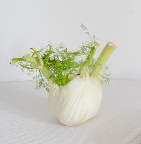 Die Geschichte des Fenchels und warum er sicher für Hunde ist Die Geschichte des Fenchels und warum er sicher für Hunde ist