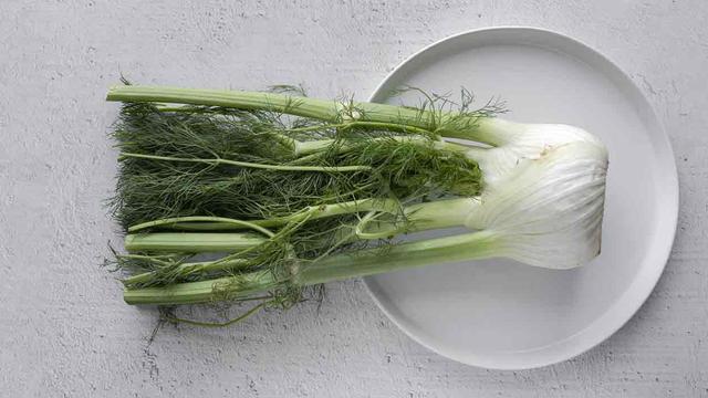 Fenchel als natürliche Verdauungshilfe für Hunde: Was Sie beachten sollten Fenchel als natürliche Verdauungshilfe für Hunde: Was Sie beachten sollten