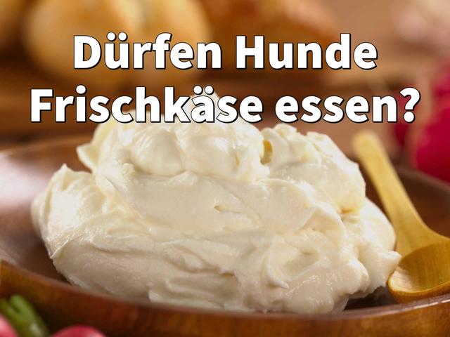 Alternativen zu Frischkäse für eine sichere Hundeernährung