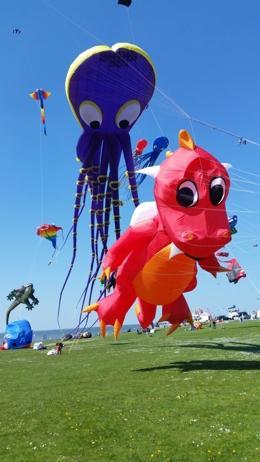 Veranstaltungskalender für Geeste: Entdecke die Highlights der Stadt Veranstaltungskalender für Geeste: Entdecke die Highlights der Stadt