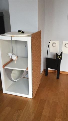 Neue Produkte entwickeln: Teile uns deine Ideen für den perfekten Kratzbaum mit Neue Produkte entwickeln: Teile uns deine Ideen für den perfekten Kratzbaum mit