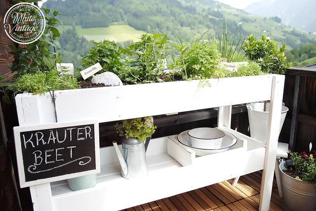 Praktische Tipps und Ideen für den Bau eines eigenen Kräuterbeets Praktische Tipps und Ideen für den Bau eines eigenen Kräuterbeets