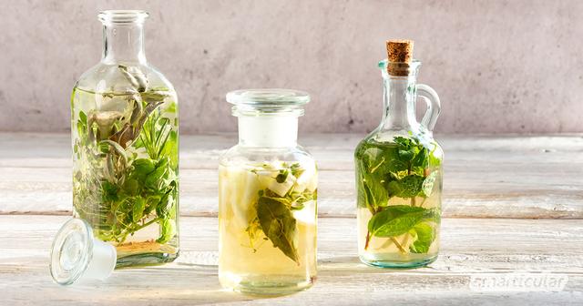 5. Gesunder Genuss ganz einfach: Mach deinen eigenen Kräuteressig! 5. Gesunder Genuss ganz einfach: Mach deinen eigenen Kräuteressig!