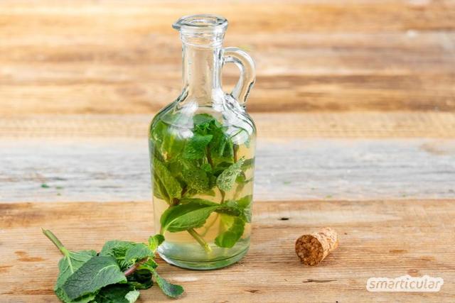 6. Essig mit persönlicher Note: Wie du mit frischen Kräutern deinen eigenen Essig zauberst 6. Essig mit persönlicher Note: Wie du mit frischen Kräutern deinen eigenen Essig zauberst