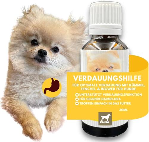 Naturgenuss Hundefutter mit Kümmel: Artgerechte Vollkost für eine gesunde Verdauung