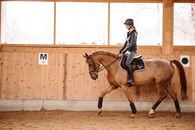 Wie man den richtigen Fuß zum Aufstehen beim Leichttraben wählt Wie man den richtigen Fuß zum Aufstehen beim Leichttraben wählt