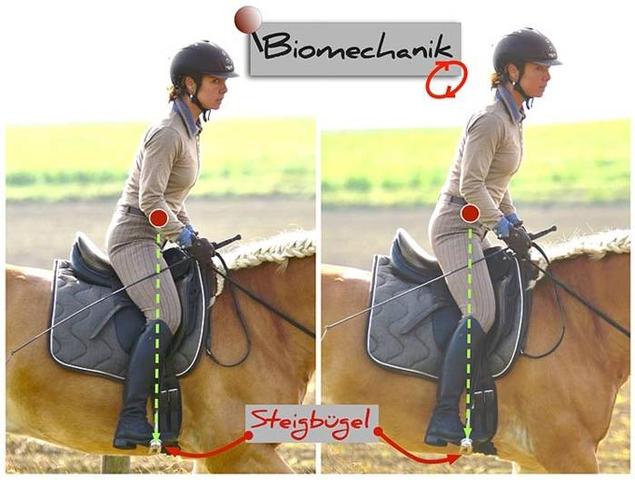 Die Bedeutung des richtigen Timings beim Aufstehen während des Leichttrabens Die Bedeutung des richtigen Timings beim Aufstehen während des Leichttrabens