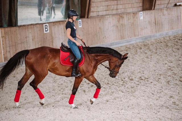 Der richtige Zeitpunkt zum Aufstehen beim Leichttraben Der richtige Zeitpunkt zum Aufstehen beim Leichttraben