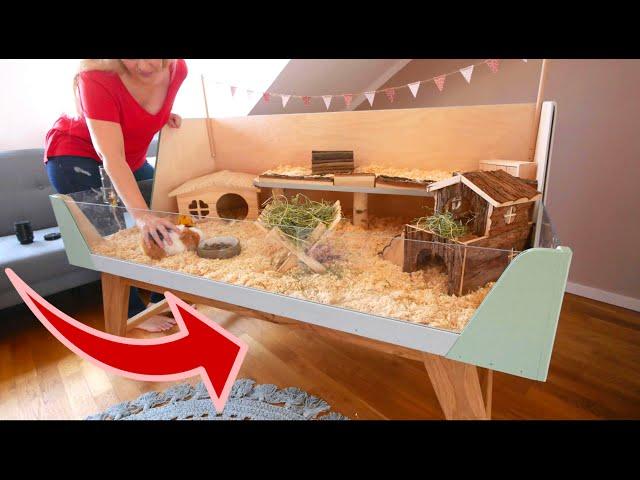 Individuelle Lösungen: Meerschweinchenkäfige selber bauen Individuelle Lösungen: Meerschweinchenkäfige selber bauen