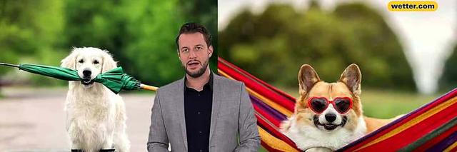 Wetteraussichten für morgen in Bremen: Anhaltender Regen und seine Folgen