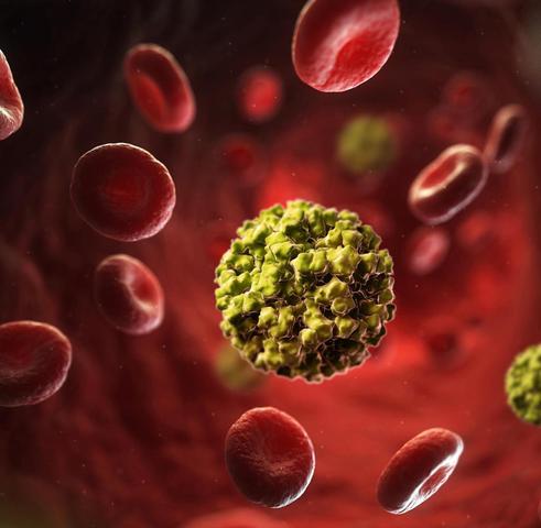 Alles, was Sie über Noroviren wissen müssen Alles, was Sie über Noroviren wissen müssen