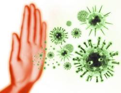 Noroviren: Hoch ansteckend und weltweit verbreitet Noroviren: Hoch ansteckend und weltweit verbreitet