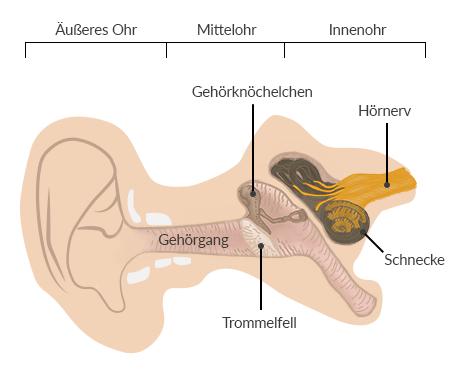 Natürliche Mittel gegen einseitige Ohrenschmerzen: Tipps zur Linderung Natürliche Mittel gegen einseitige Ohrenschmerzen: Tipps zur Linderung