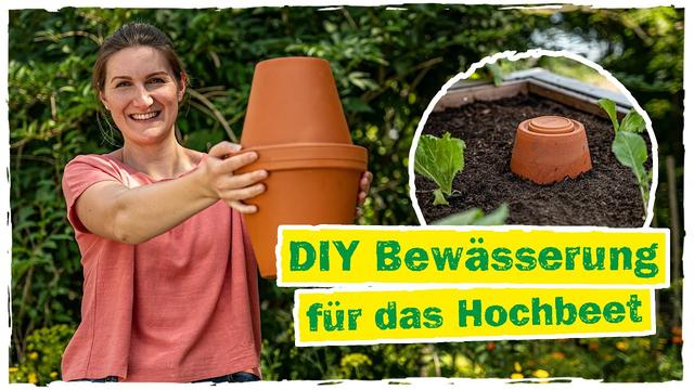 Ollas selber bauen Einfache und kostengünstige Bewässerung für den