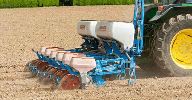 Auswirkungen eines falschen Aussaatzeitpunkts auf das Maiswachstum Auswirkungen eines falschen Aussaatzeitpunkts auf das Maiswachstum