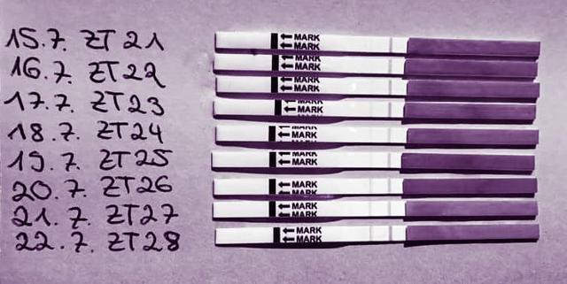 Orakeln mit Ovulationstests: Erfahrungen und Fazit Orakeln mit Ovulationstests: Erfahrungen und Fazit