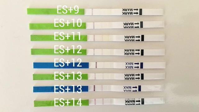 Frühe Anzeichen einer Schwangerschaft: Was verrät ein positiver Ovulationstest? Frühe Anzeichen einer Schwangerschaft: Was verrät ein positiver Ovulationstest?