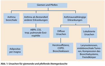 Pfeifender Atem: Ursachen erkennen und richtig handeln Pfeifender Atem: Ursachen erkennen und richtig handeln
