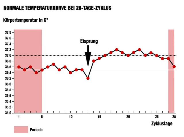 Der zeitliche Ablauf der Hormonumstellung nach dem Absetzen der Pille Der zeitliche Ablauf der Hormonumstellung nach dem Absetzen der Pille
