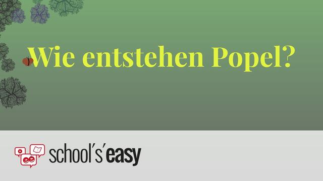 Popelbildung erklärt: Was sind Popel und wie entstehen sie? Popelbildung erklärt: Was sind Popel und wie entstehen sie?
