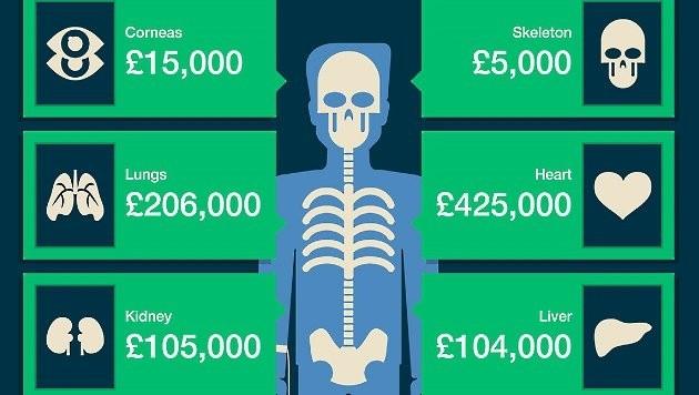 Der Marktwert einer Niere: Preisspannen auf dem Schwarzmarkt