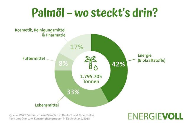 Die ökologischen und sozialen Probleme von Palmöl: Warum ist Palmöl schlecht? Die ökologischen und sozialen Probleme von Palmöl: Warum ist Palmöl schlecht?