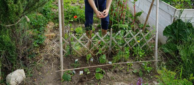 Gestalte deinen Garten mit einer selbstgebauten Rankhilfe: Schritt-für-Schritt-Anleitung Gestalte deinen Garten mit einer selbstgebauten Rankhilfe: Schritt-für-Schritt-Anleitung