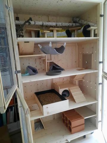 DIY-Projekt: Einen Rattenkäfig einfach selbst machen DIY-Projekt: Einen Rattenkäfig einfach selbst machen