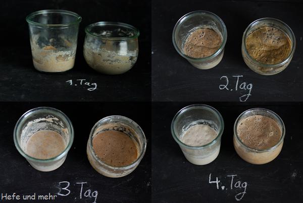 Natürlichen Sauerteig selbst herstellen: Schritt-für-Schritt-Anleitung Natürlichen Sauerteig selbst herstellen: Schritt-für-Schritt-Anleitung