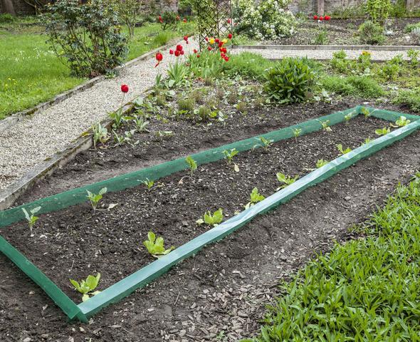 Schneckenzaun selber bauen Effektiver Schutz gegen Schnecken Sieu