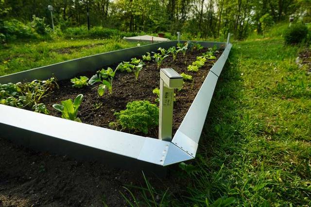 Sicher und einfach: Ein Schneckenzaun für den eigenen Garten Sicher und einfach: Ein Schneckenzaun für den eigenen Garten