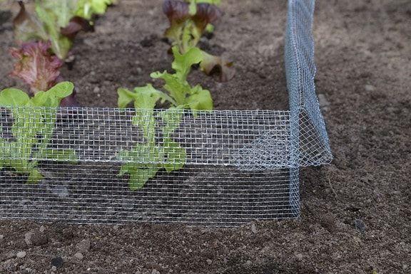 Schneckenzaun selber bauen Effektiver Schutz gegen Schnecken Sieu