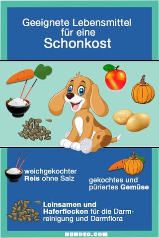 Selbstgemachte Schonkost für Hunde: Leckere Rezepte für eine schonende Ernährung Selbstgemachte Schonkost für Hunde: Leckere Rezepte für eine schonende Ernährung