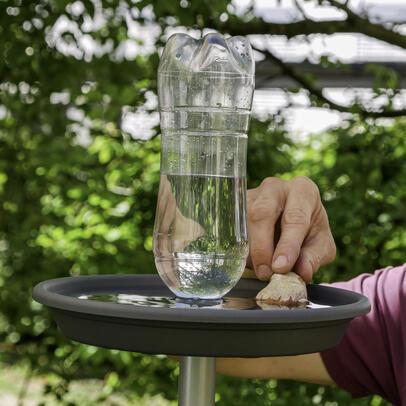 Vogeltränke selber machen: Tipps und Anleitungen für den eigenen Garten