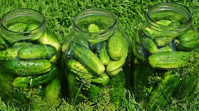 Essiggurken selber einlegen: Ein einfaches Rezept Essiggurken selber einlegen: Ein einfaches Rezept
