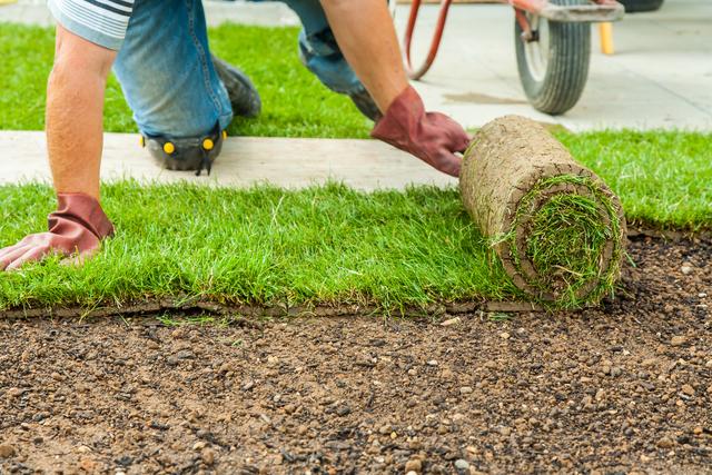 Sichere Anleitung Rasenwalze selber bauen Tipps & Tricks Sieu Thi