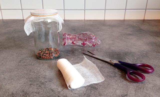 Praktischer Lifehack: Wie Sie ein DIY-Sprossenglas herstellen können Praktischer Lifehack: Wie Sie ein DIY-Sprossenglas herstellen können